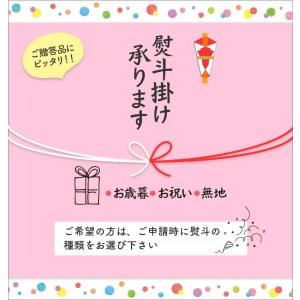 ふるさと納税 海のミルクサロマ湖産殻付2年物カキ貝 10kg 80〜100個入 海鮮 魚介類 貝 お歳暮 お祝い BBQ 北海道北見市