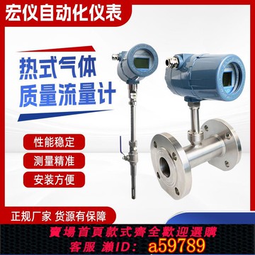 【全網低價 可打統編】HY-RSL智能热式气体质量流量计插入式法兰式压缩空气氮气流量表