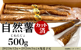 12-26自然薯500g(カット済)