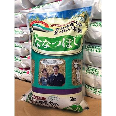 ふるさと納税 北斗市 北海道産 特Aランク ななつぼし5kg