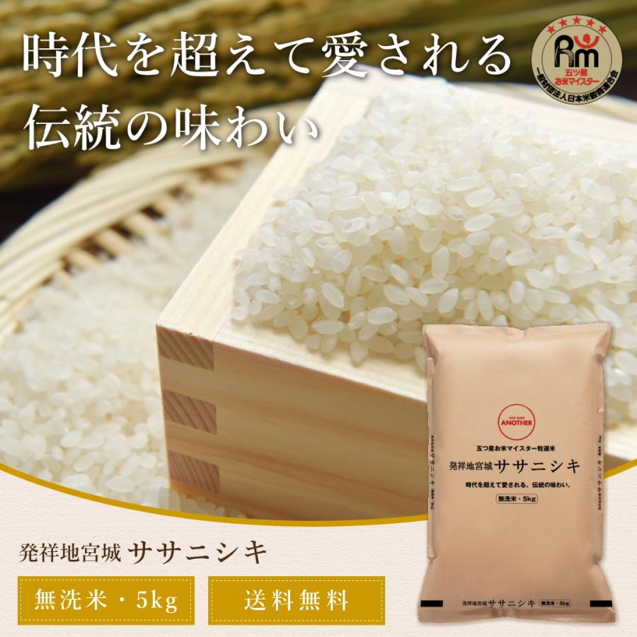 無洗米 新米 5kg 令和5年 宮城県産 ササニシキ 送料無料 宮城県 米 お米 精米 ５キロ