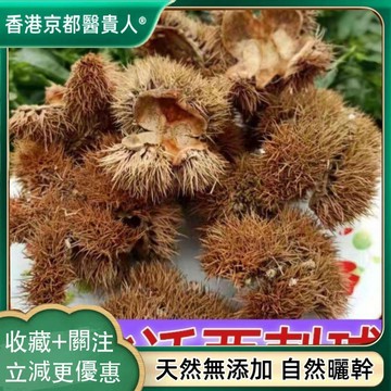 【中草行】限時特賣✅帶刺闆慄球 慄刺殻 風慄殻 闆粟刺粟子刺殻 自然曬幹 泡水泡茶 250g-500g【使用之食材】