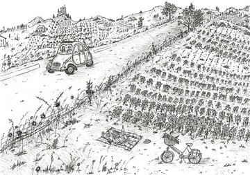 法國南法葡萄園 (含A4畫框)