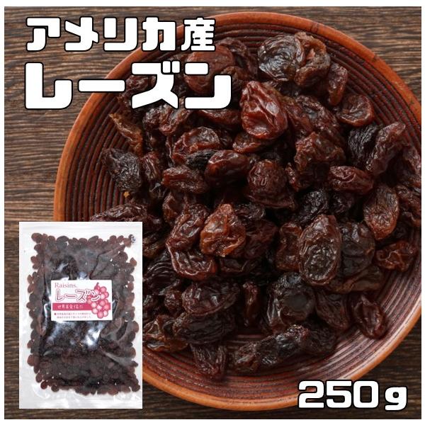 レーズン 250ｇ アメリカ産 世界美食探究 （メール便）ドライフルーツ 種なし カリフォルニア産 乾燥ぶどう 製菓 製パン 材料 国内加工