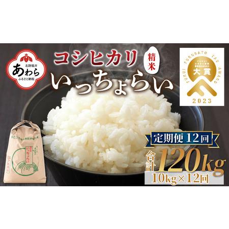 ふるさと納税 《定期便12回》いっちょらい 精米 10kg（計120kg） ／ 福井県産 ブランド米 コシヒカリ ご飯 白米 新鮮 大賞 受賞 .. 福井県あわら市