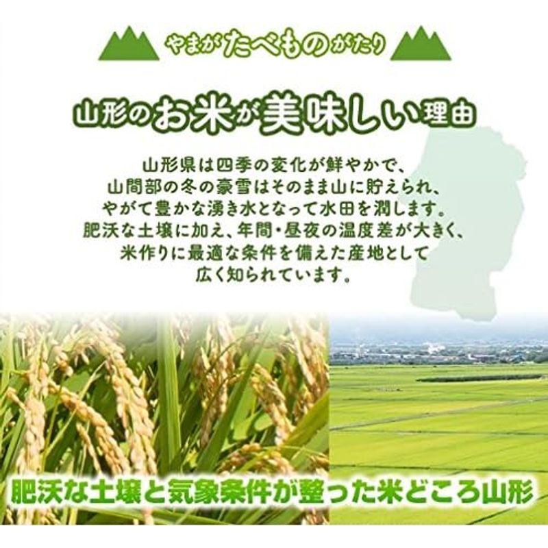 精米 山形県産 つや姫 精米 10kg（5kg×2袋）平成30年産