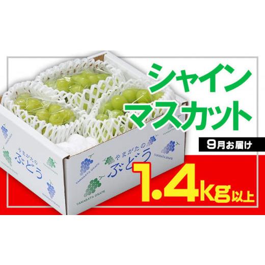 ふるさと納税 山形県 山形市 ☆フルーツ王国山形☆ シャインマスカット 秀品 1.4kg以上(2〜4房)[9月お届け] FS23-732