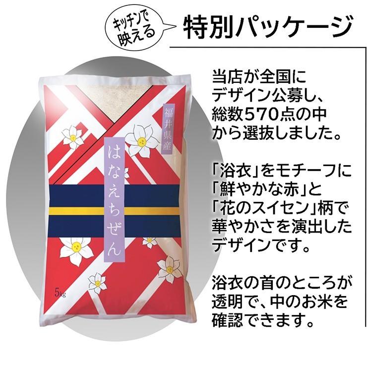 新米 米 ハナエチゼン 20kg 5kg×4袋 白米 福井県産 令和5年産 送料無料