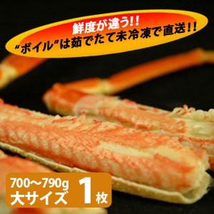 松葉ガニ（松葉がに）700〜790g（大サイズ）×1枚 日本海産 未冷凍 お歳暮ギフト 送料無料（北海道・沖縄を除く）