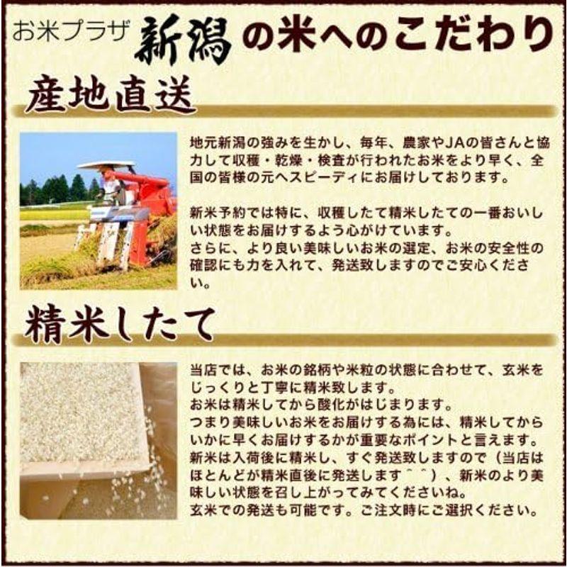 新潟県産 ミルキークイーン 白米 2kg 令和4年産