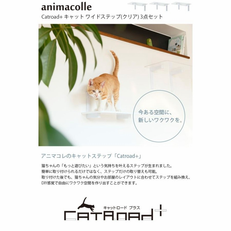 ねこ さねあつ on X: 