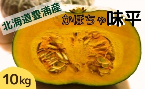 北海道 豊浦産 かぼちゃ 味平 10kg 5～7玉入り