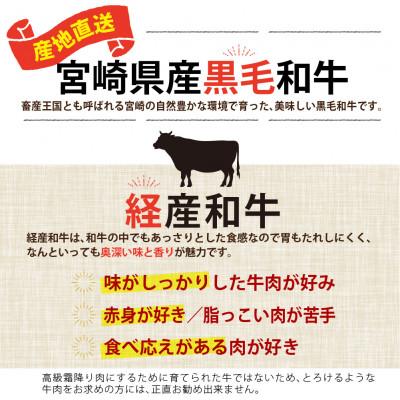 ふるさと納税 美郷町 宮崎県産黒毛和牛焼肉・スライスセット合計約600g