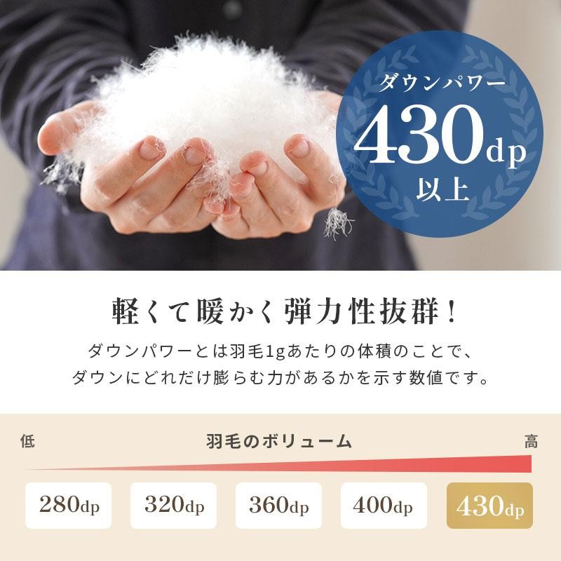 西川 羽毛布団 シングル マザーグースダウン93％ 1.2kg 日本製 完全