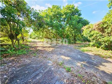 南化露營首選丙建加農地｜台南市南化區菁埔寮段