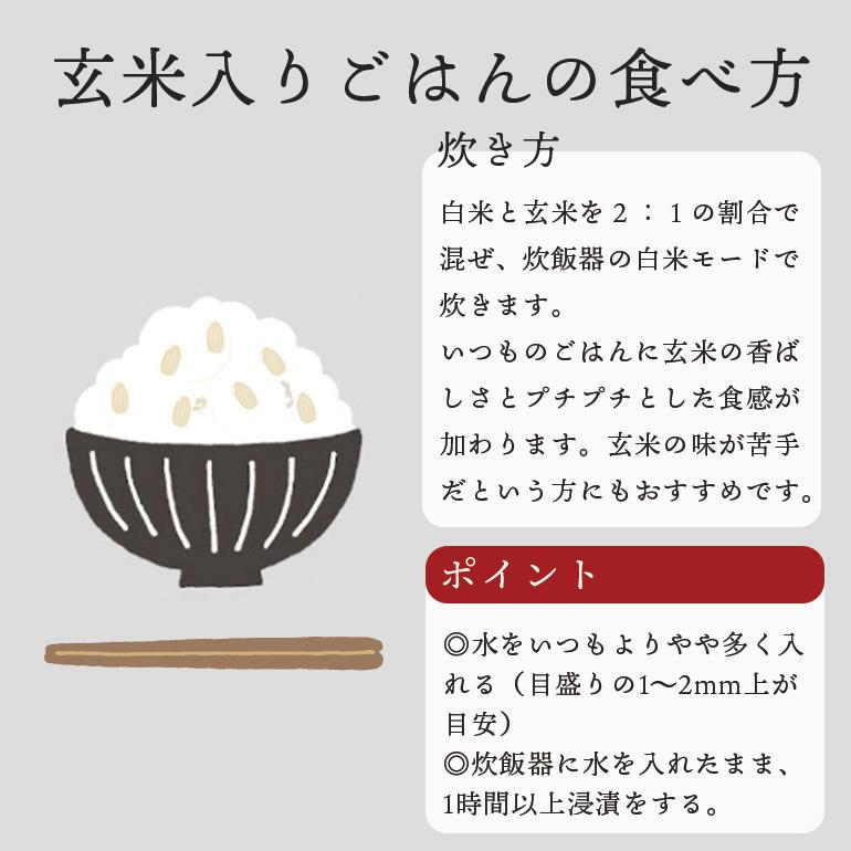 送料無料 玄米ごはんの素 白米と混ぜて炊ける発芽玄米 70g×7袋