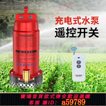 【台灣公司 可打統編】充電式直流潛水泵無線遙控鋰電池灌溉澆水抽水泵小型12V澆菜神器