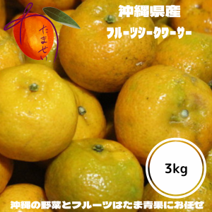 沖縄やんばる産のフルーツシークワサー ３kg