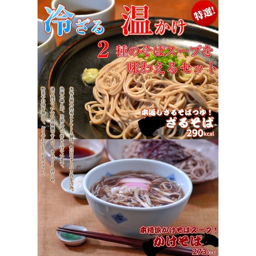 蕎麦　お取り寄せ　日本そば　煮込み　かけそば　＆　本返しつゆ付き　ざるそば　2種6人前　セット　和そば　温冷タイプ　詰め合せ　お試しグルメギフト