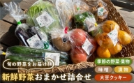 新鮮野菜・加工品 おまかせ詰め合わせ[HAG015]