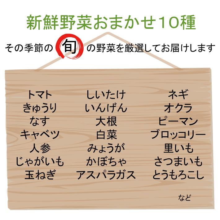 新鮮野菜おまかせ１０種セット　福島県産