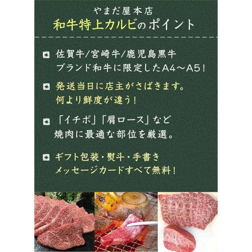 国産牛 和牛 カルビと銘柄豚の焼肉セット 500ｇ 佐賀牛 宮崎牛  黒毛和牛   バーベキュー