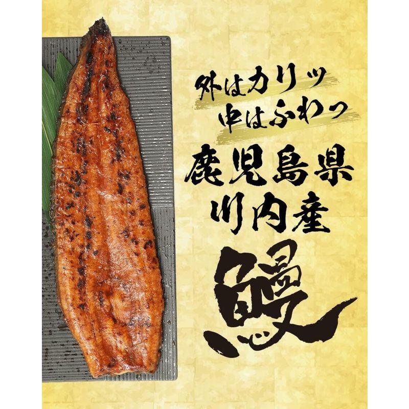 薩摩川内 国産 炭火焼 うなぎ長焼き 徳大サイズ 約160?170g×3尾 鹿児島県