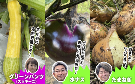 数量限定　矢巾町産　夏野菜セット7月発送