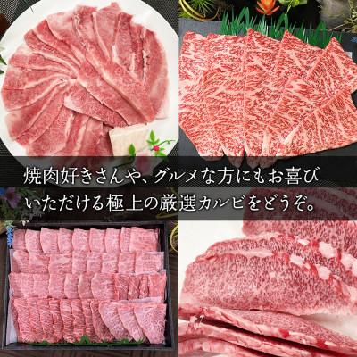 ふるさと納税 福岡市 希少部位厳選!特選カルビ 博多和牛 A5 700g