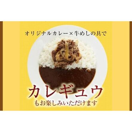 ふるさと納税 松屋 カレー 牛めし 20個 セット 冷凍 牛丼 カレー 埼玉県嵐山町