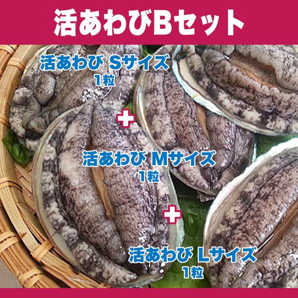 あわびの色々な魅力を味わえる 活あわびBセット