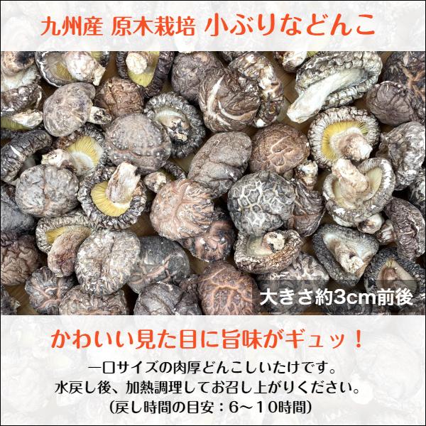 干し椎茸 九州産 小ぶりなどんこ 200g 大容量 原木栽培 チャック付き袋 国産 どんこ しいたけ 椎茸 シイタケ 干ししいたけ 干しシイタケ