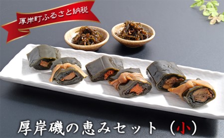 厚岸磯の恵みセット（小） 北海道 昆布  佃煮