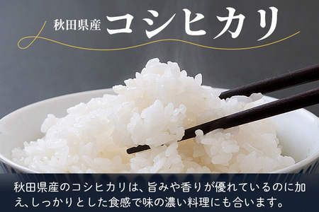  コシヒカリ 令和5年産 秋田県産 北国秋田のコシヒカリ 10kg