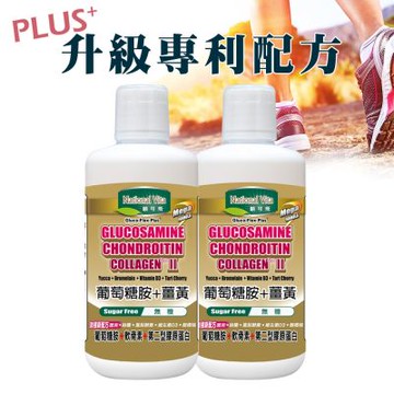 《顧可飛》葡萄糖胺薑黃軟骨素 (添加薑黃)-946ml (2入組)