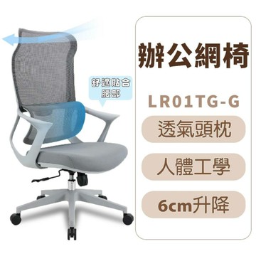 拉斐爾主管網椅 辦公椅 電腦奇 人體工學 高背網椅 背框扶手灰色 LR01TG-G