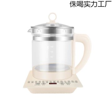 養生壺燒水壺家用耐用小型養生壺迷你小巧一人煮茶壺煎藥壺