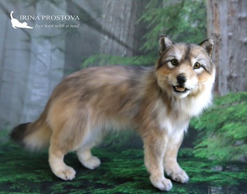 狼崽毛絨玩具。逼真的動物玩具。動物複製品