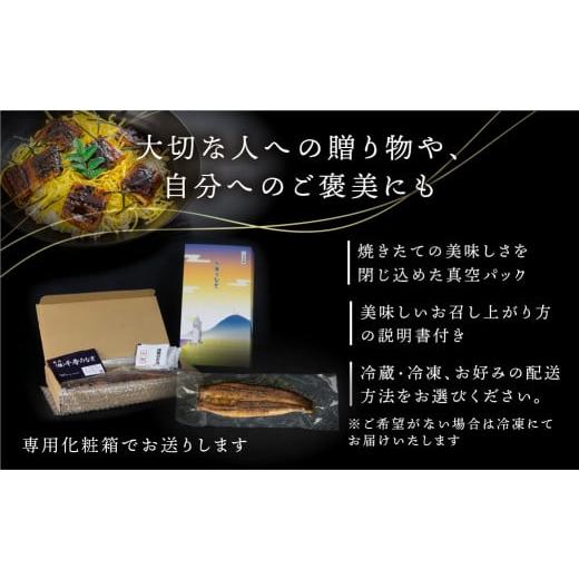 ふるさと納税 愛知県 田原市 厳選 高級 青うなぎ 白焼 8尾 1200g 配送方法が選べる