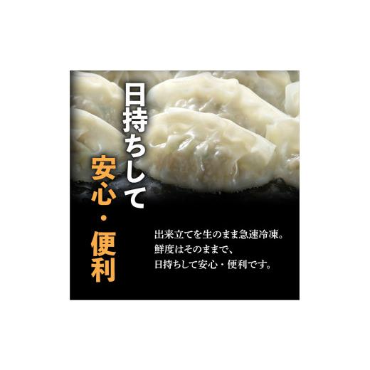 ふるさと納税 鹿児島県 鹿児島市 鹿児島黒豚100％餃子　32個入り　K027-007