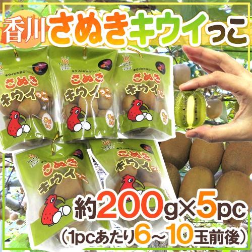 香川県 ”さぬきキウイっこ” 約200g×《5pc》（1pcあたり6〜11玉前後） 送料無料