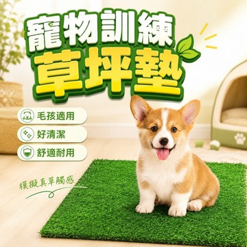 【台灣出貨】仿真草皮｜寵物草坪墊｜狗狗廁所訓練草皮｜寵物專用草皮｜狗狗訓練墊｜室內草皮墊｜草坪地墊｜寵物草皮尿墊