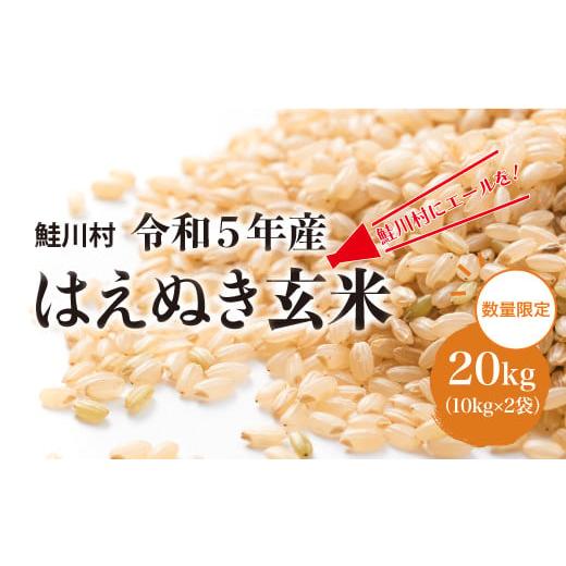 ふるさと納税 山形県 鮭川村 鮭川村にエールを！　令和5年産　はえぬき20kg（10kg×2袋）山形県鮭川村