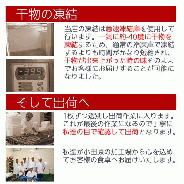 お歳暮 ギフト 干物 お取り寄せ グルメ プレゼント 贈答品  送料無料 真 イワシ干物(国産)10枚  魚 食品