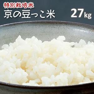 【送料無料 一等検査 白米】 令和4年産 京都 丹後 コシヒカリ 約27kg