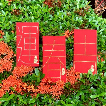 【GFSD】璀璨萬用紅包袋-【新春滿滿系列-迎春好運大吉祥  三入】