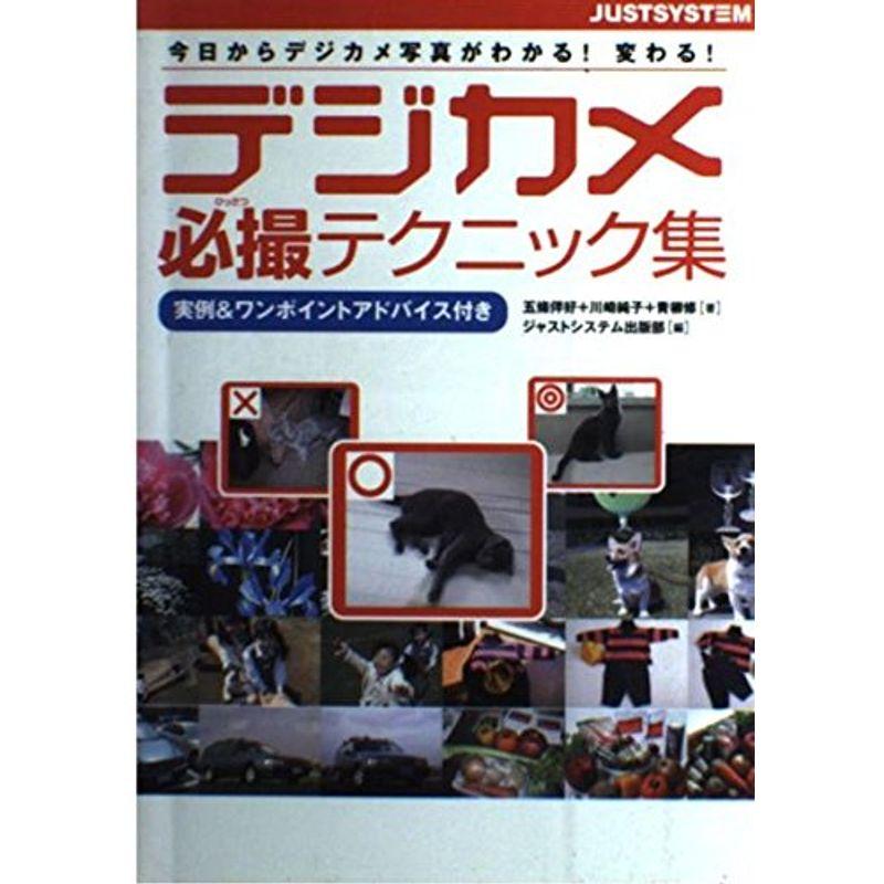 デジカメ必撮テクニック集?今日からデジカメ写真がわかる変わる 実例ワンポイントアドバイス付き