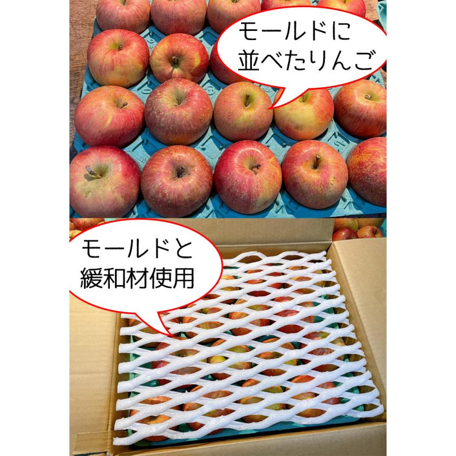 りんご 訳あり 5kg箱 青森県産 サンふじ りんご 5Kg前後 送料無料 糖度保証 りんご 訳あり 5kg箱 予約 11月以降発送