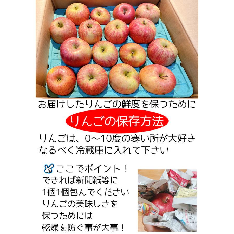 りんご 訳あり 10kg箱 青森県産 サンふじ りんご 10Kg前後 送料無料 糖度保証 りんご 訳あり 約10Kg 予約 11月上旬頃発送