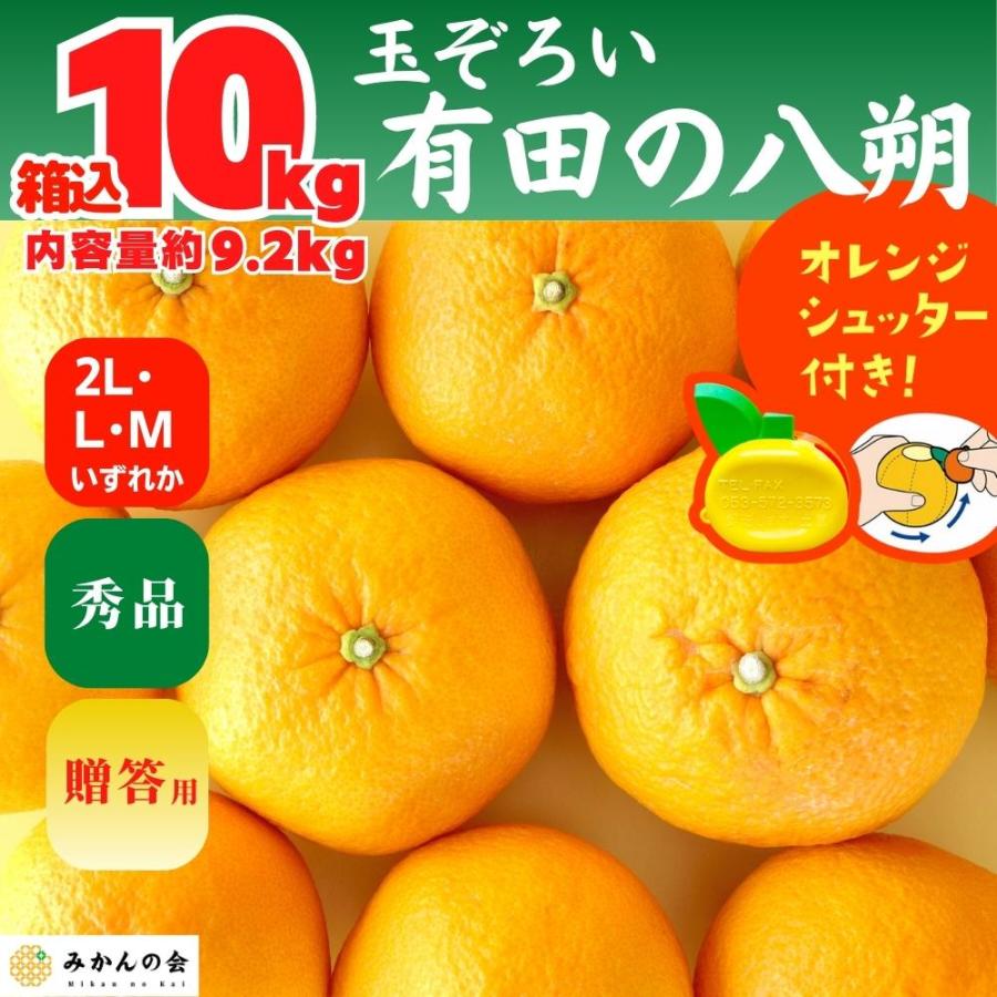 八朔 (はっさく) 秀品 玉ぞろい 箱込 10kg (内容量約 9.2kg 2L L Mサイズのいずれか 和歌山県産  産地直送